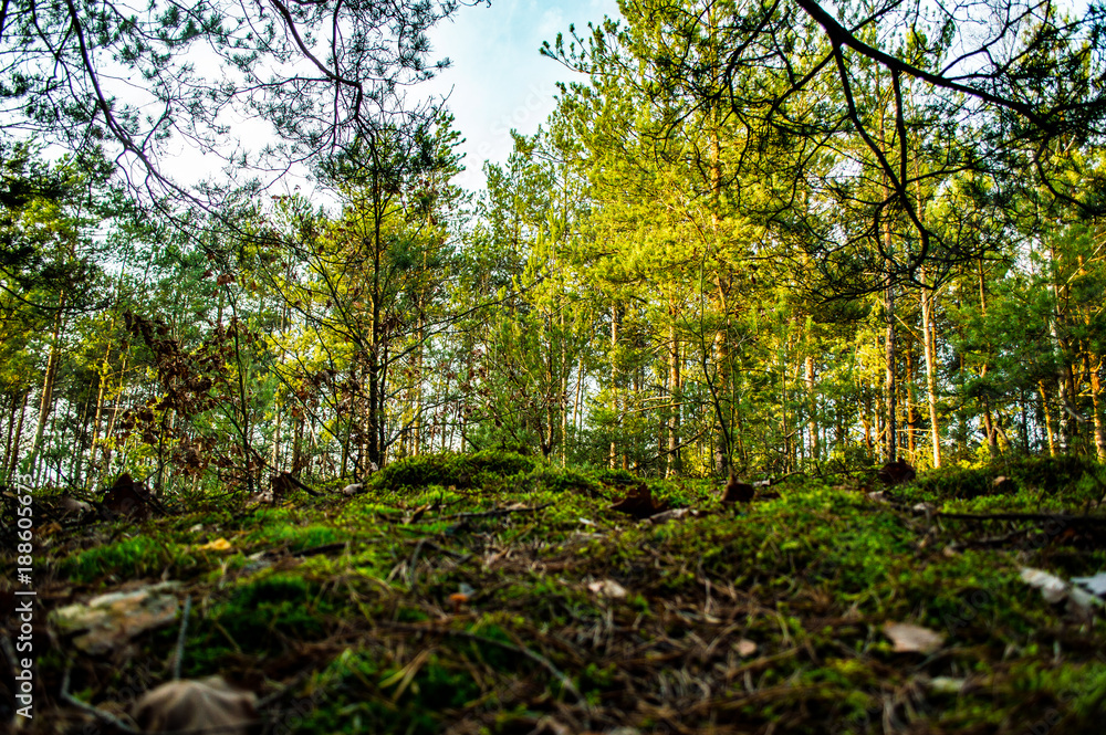 Obraz premium Ciepła jesień