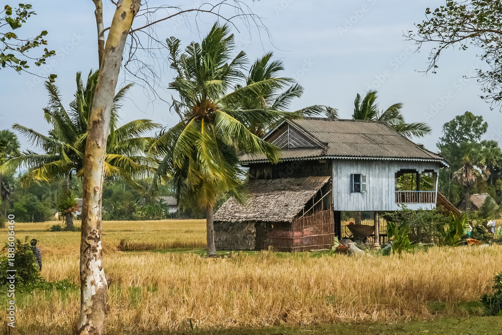 Village house in cambodian countryside