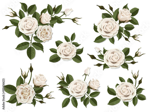 White rose boutonniere. Set for floral design of a greeting, wedding or invitation card. Bouquet of decorative garden flower. Bud, petals and leaves of plant.
