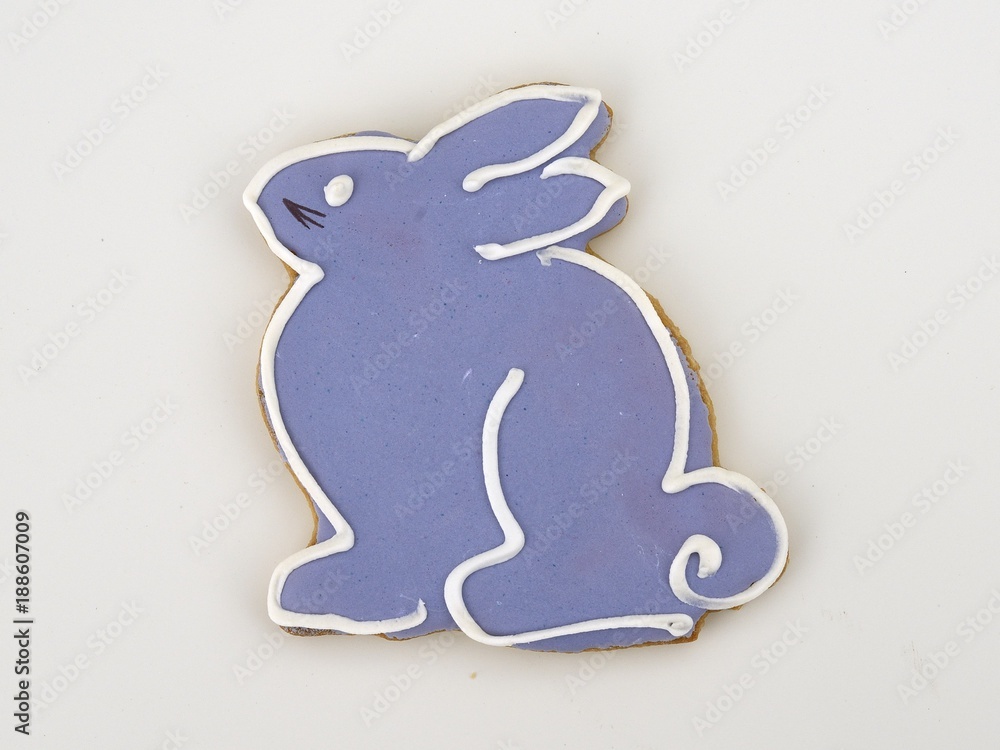 Obraz premium Easter Cookie