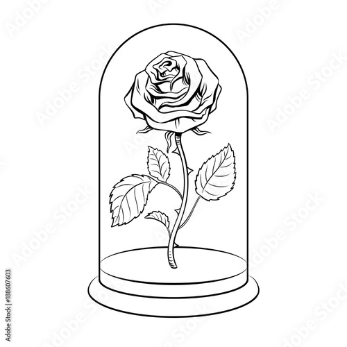 Rose under glass cap coloring book vector