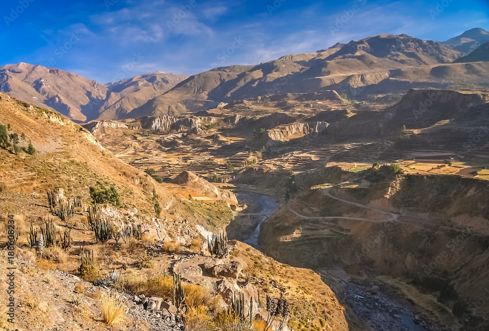 View of the deep Canyon Colca in Peru