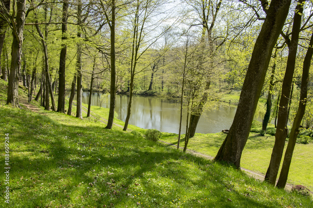 Obraz premium Public gardens in Chotebor with pond during spring season, romantic scene, water reflections