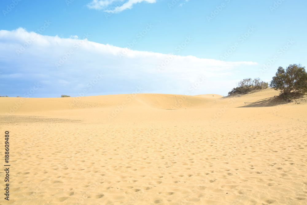 Sand dunes in Maspalomas on Gran Canaria Island, Canary Island, Spain