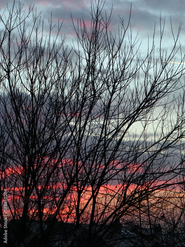 Obraz premium Sundown