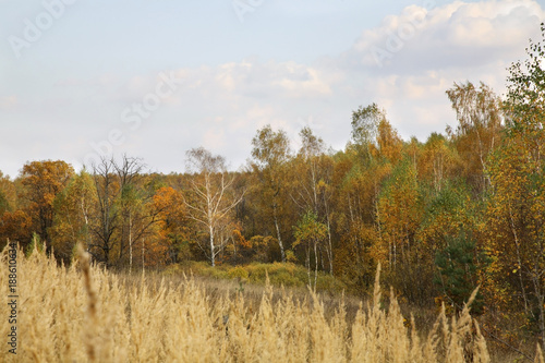 Landscape near Myshenki village. Tula oblast. Russia
