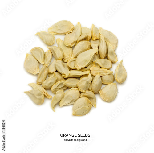 Orange and Mandarin Seeds