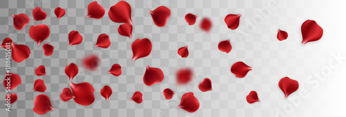 Isolated greeting frame. Red rose petal transparent background. Vector wedding illustration. Valentines Day greeting card. Valentine's floral poster. Valentine symbol. Random falling petals.