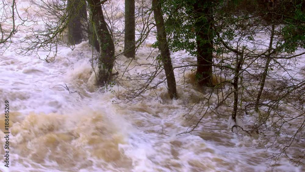 Fast Flowing Water At Aysgarth Falls; North Yorkshire Floods; Aysgarth, North Yorkshire, England Fast Flowing Water At Aysgarth Falls; North Yorkshire Floods; Aysgarth, North Yorkshire, England
