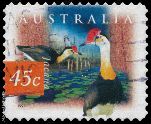 Stamp printed in Australia, shows bird comb-crested jacana photo