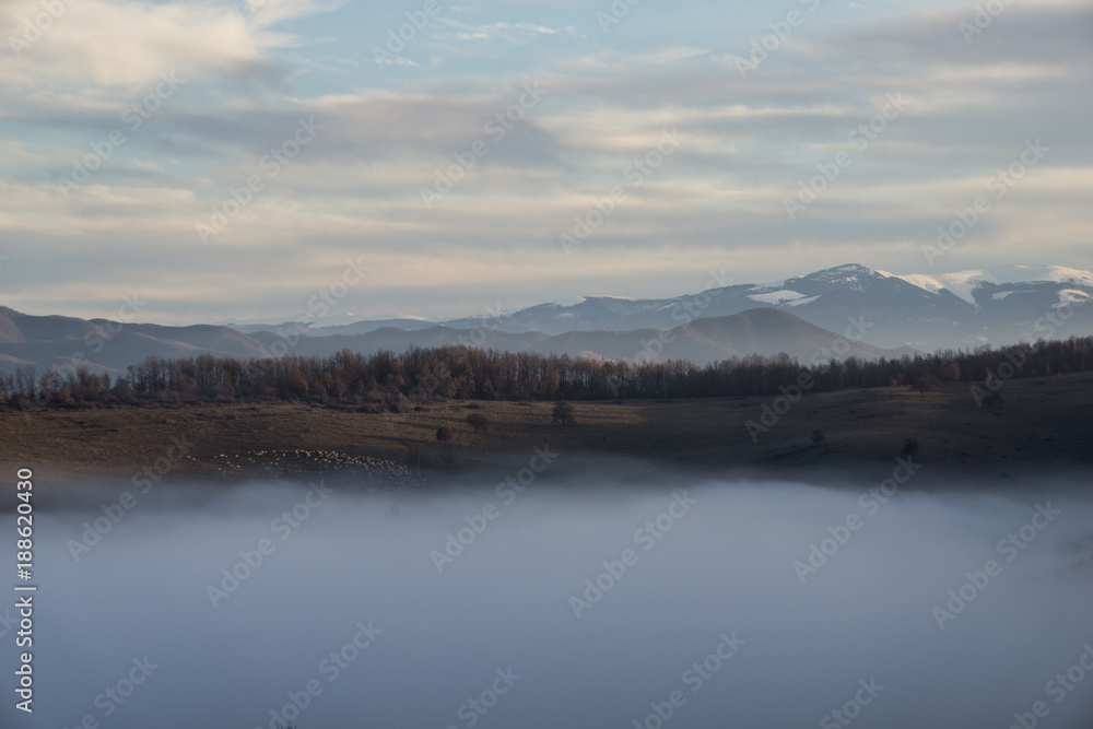 Picturesque romanian countryside scene with flock of sheep, fog and mountains in the background