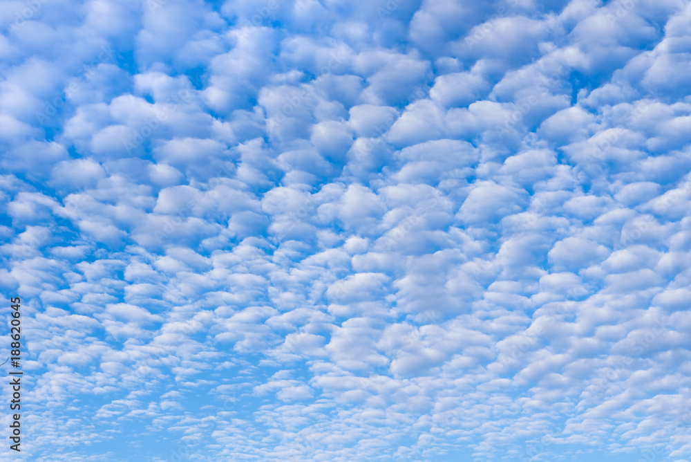 Obraz premium Puffy white clouds against a blue sky.