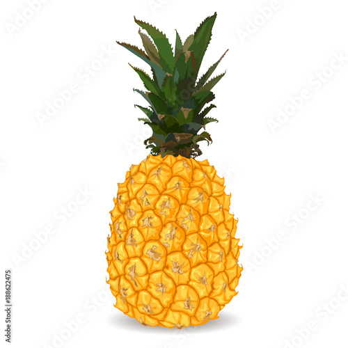 Yellow sweet pineapple isolated on white background