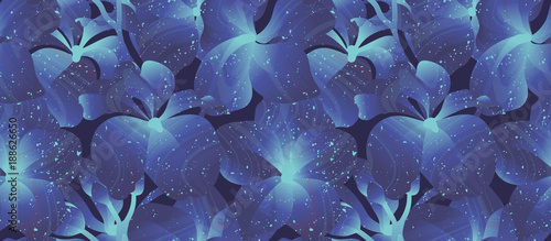 Fototapeta Naklejka Na Ścianę i Meble -  Seamless pattern, blue Vanda Coerulea orchid on balck background