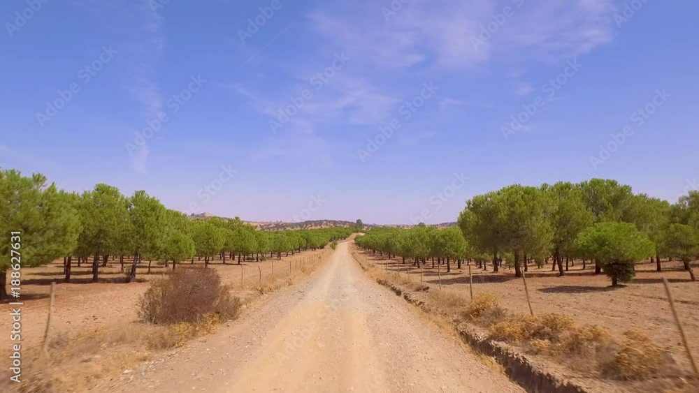 Driving on a Dirt Road in Countryside Driving on a Dirt Road in Countryside