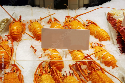 Cooked western australia rock lobsters display with white label. Background of whole lobster ready to takeaways