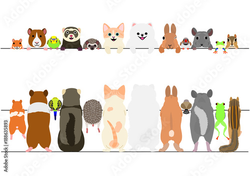 standing pet animals front and back border set