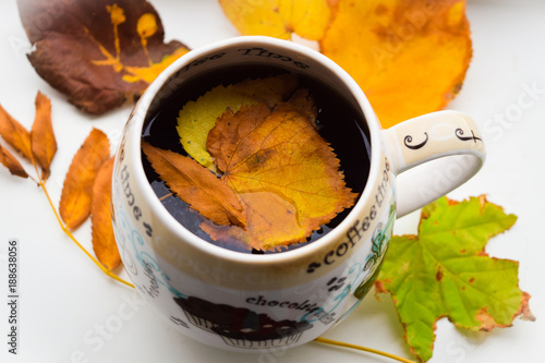cup of tea and autumn leaves photo