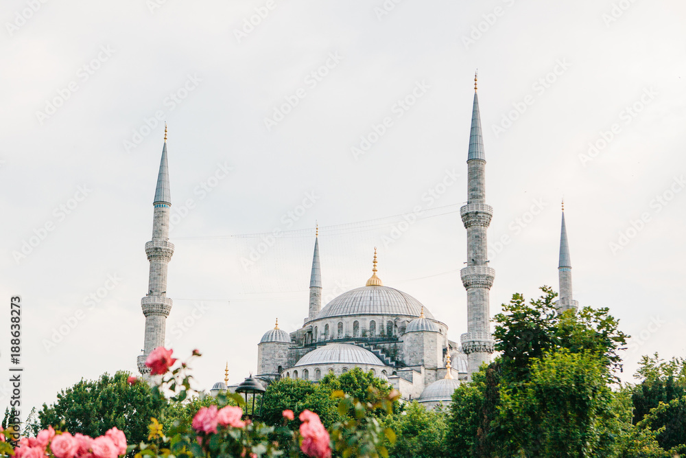 Fototapeta premium The world-famous Blue Mosque in Istanbul is also called Sultanahmet. Turkey.