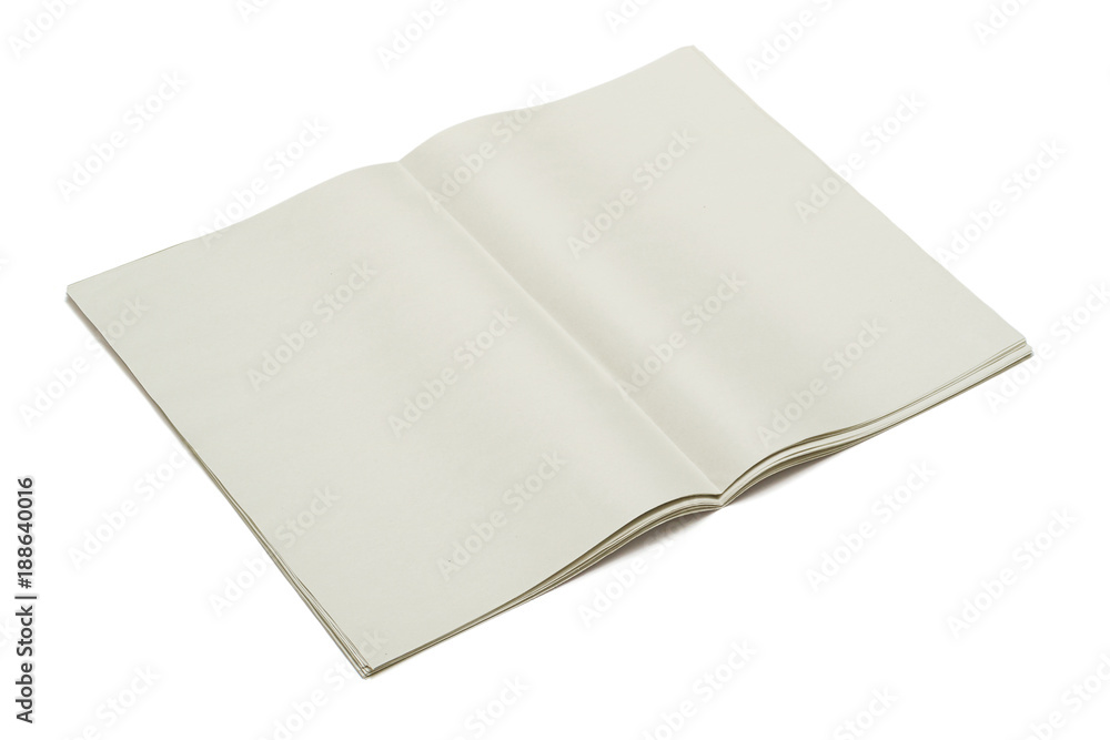 Blank newspaper on isolated background. Blank newspaper on isolated background.