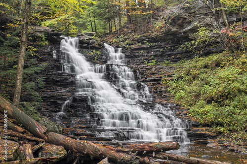 F.L. Ricketts Falls - Ricketts Glen State Park  Pennsylvania