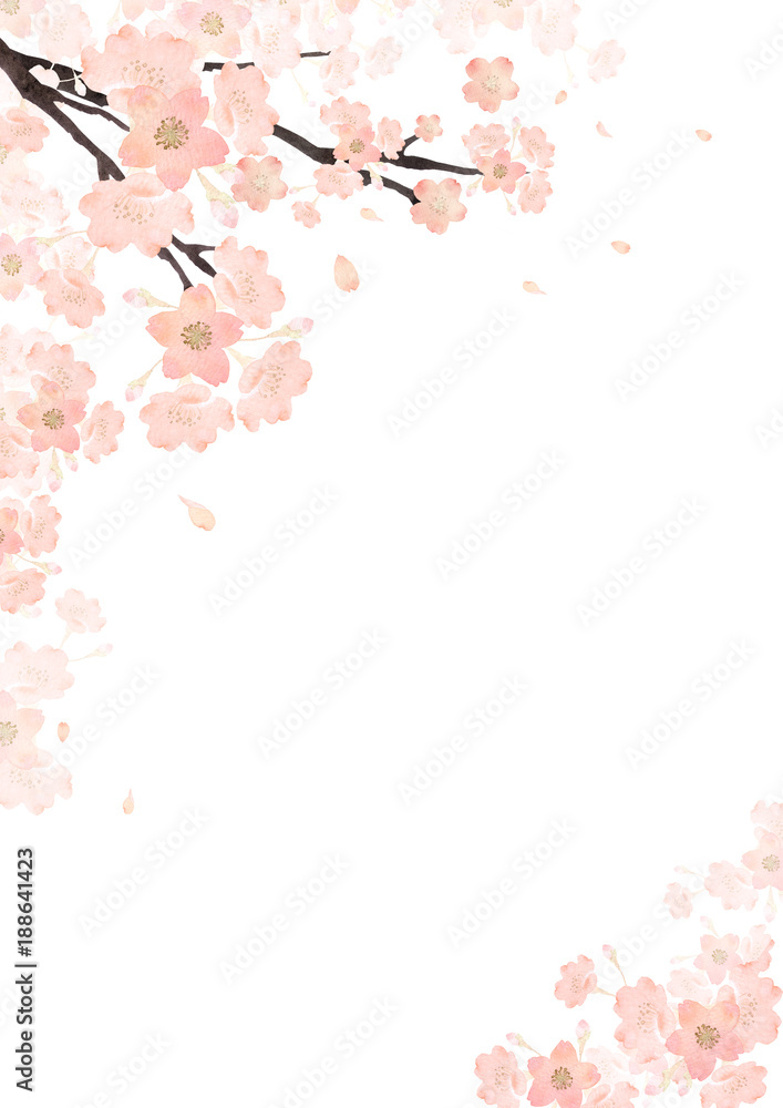 春 桜 背景 フレーム 水彩 イラスト Stock Illustration Adobe Stock