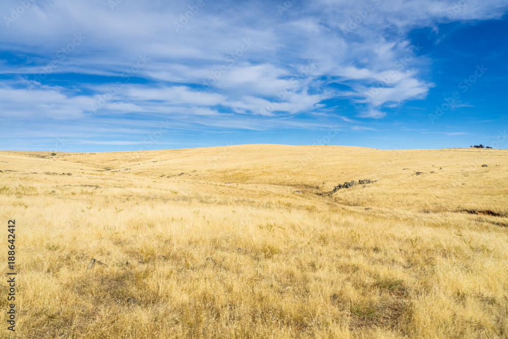 dry grass with hills blue sky