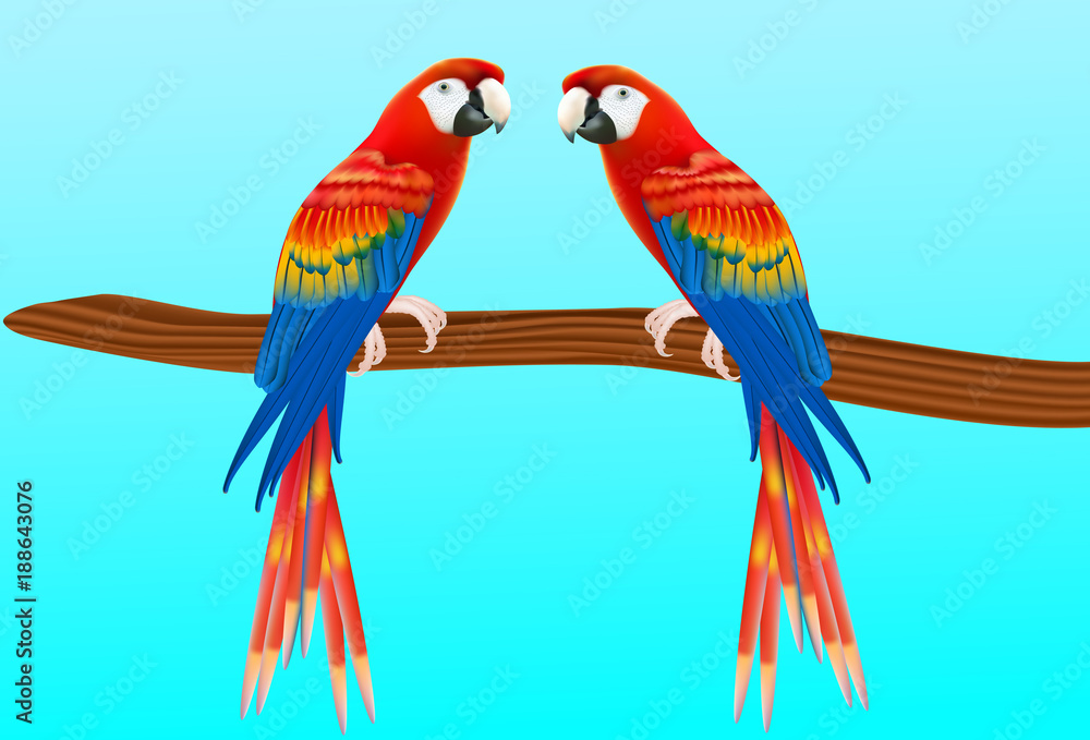 Illustration of a happy red  macaw parrot pointing with his wing