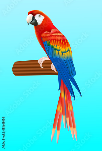 Illustration of a happy red  macaw parrot pointing with his wing