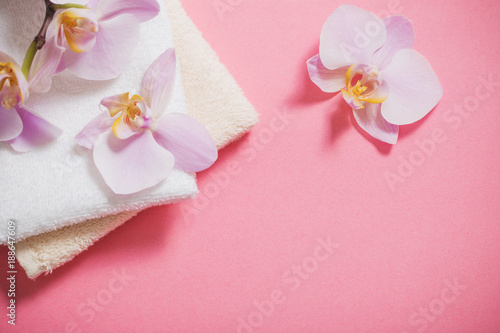 Fototapeta Naklejka Na Ścianę i Meble -  orchids on pink background
