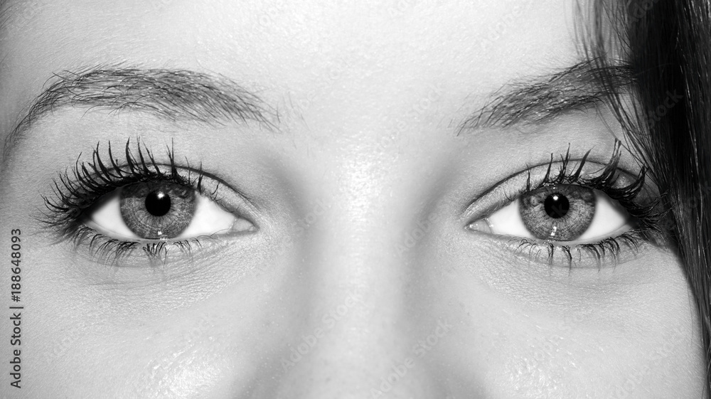 A beautiful insightful look woman's eyes. A beautiful insightful look woman's eyes.