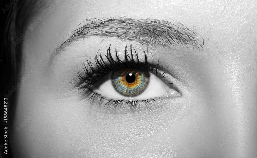 A beautiful insightful look woman's eye. A beautiful insightful look woman's eye.