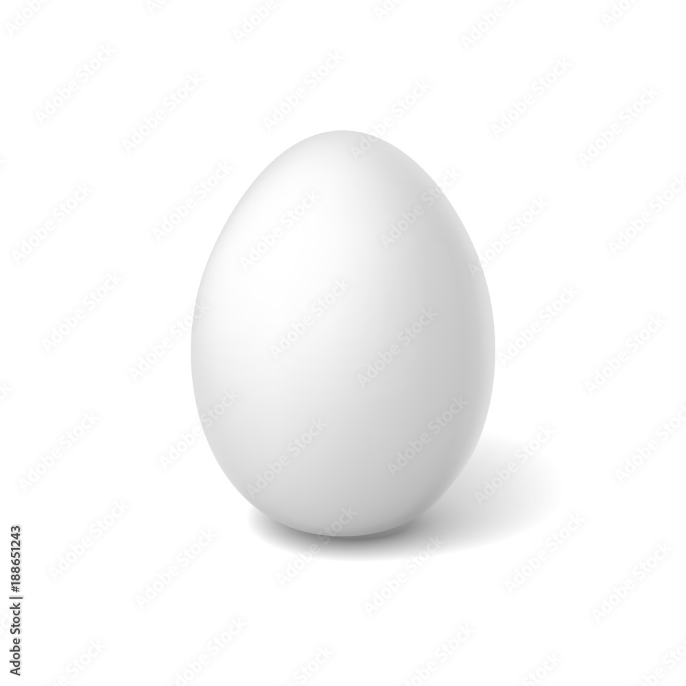 Vector realistic chicken white egg, easter spring Vector realistic chicken white egg, easter spring