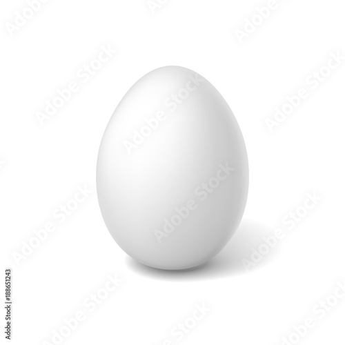 Vector realistic chicken white egg, easter spring