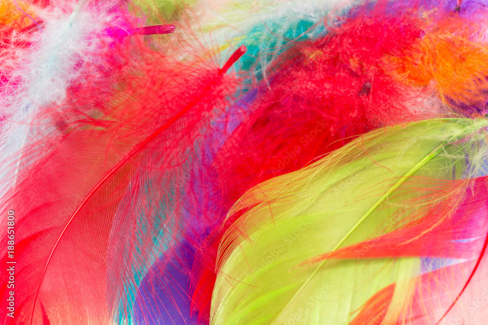 Fototapeta premium multicolored feathers as a background