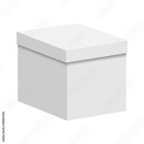 Blank paper or cardboard box