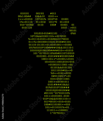 Digital footprint, source code