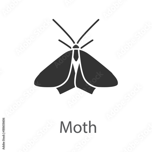 Moth glyph icon