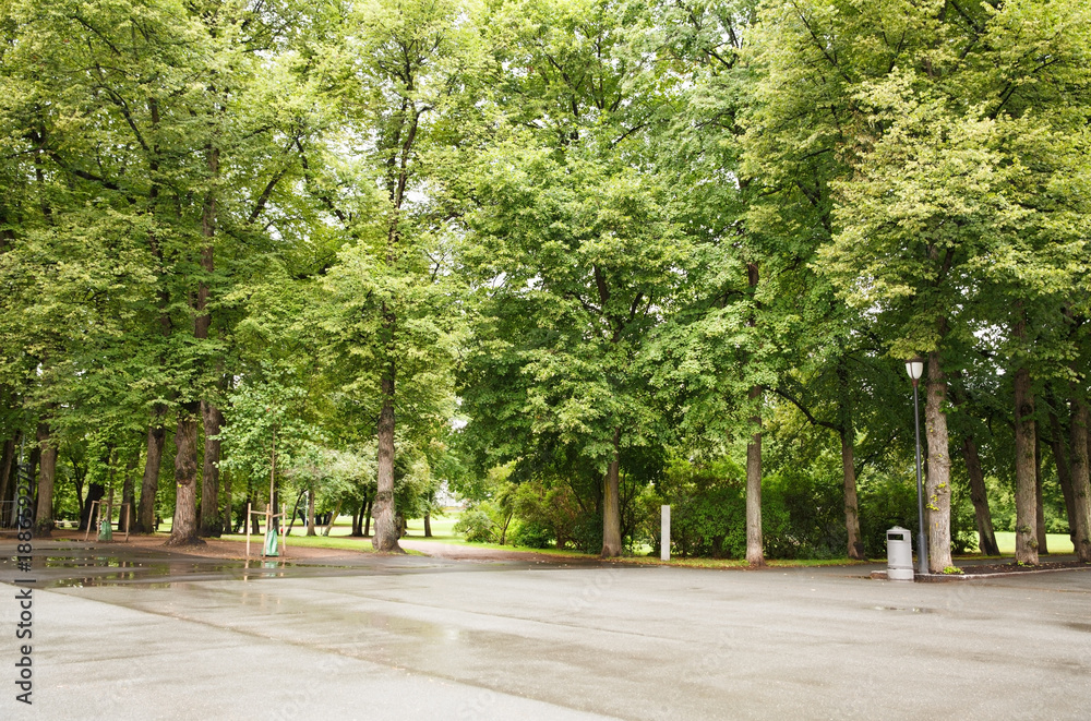 Trees in the park