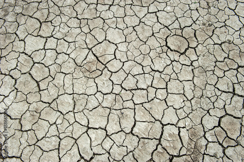 dry soil background texture