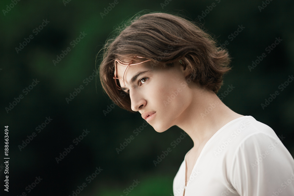 Prince of elves Prince of elves