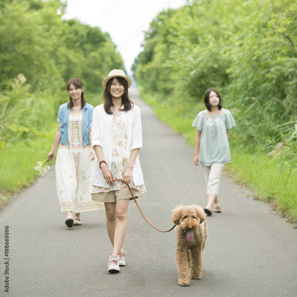 一本道を歩く3人の女性と犬 Stock 写真 Adobe Stock