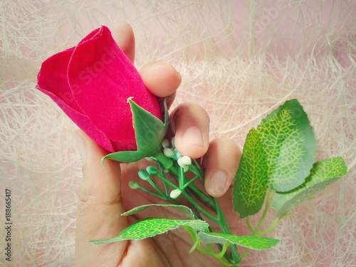 Fototapeta Naklejka Na Ścianę i Meble -  Beautiful red rose flower in hand on fiber background