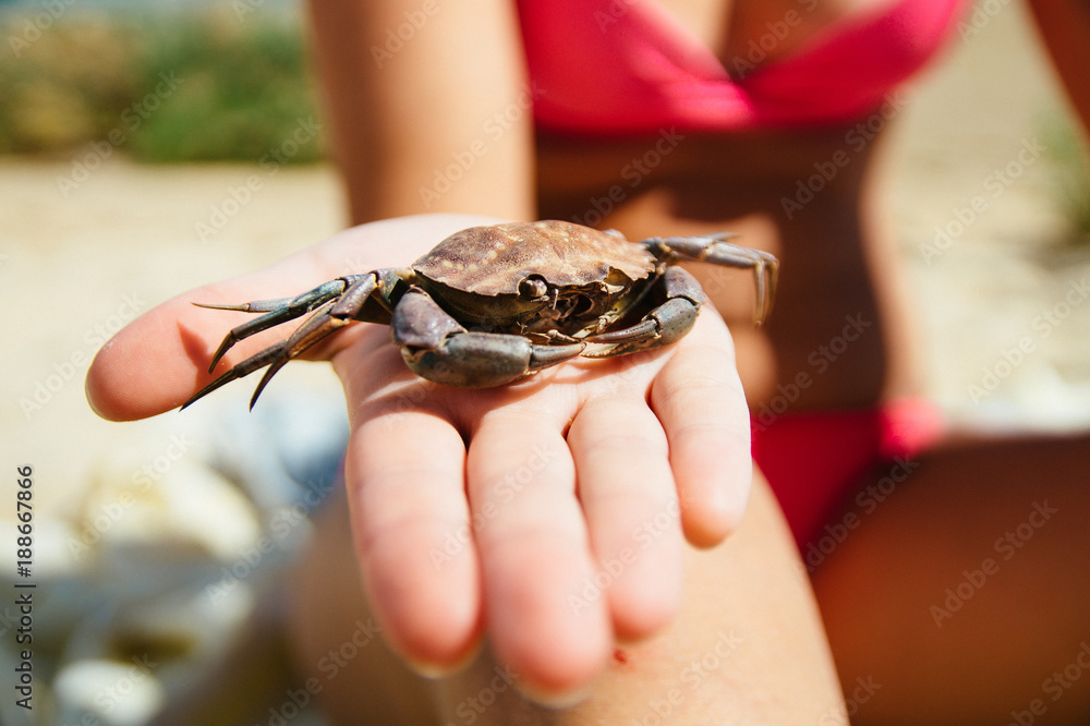 A died crab shell found on the beach and held in hand, by a woman wearing bikinis on the beach of Fuseta, Portugal.