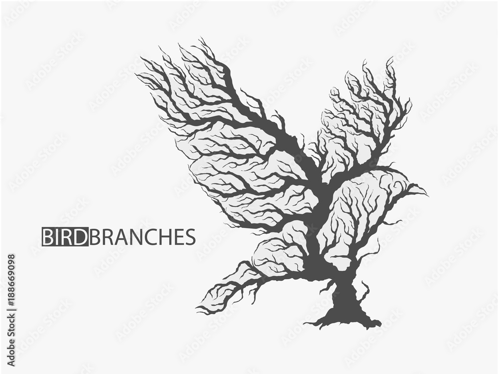 Fototapeta premium silhouette of bird from branches of tree