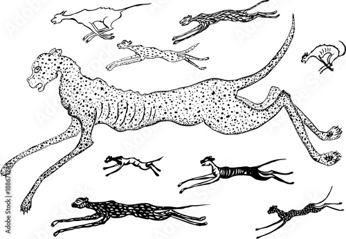 Canvas Print The running wild cats
