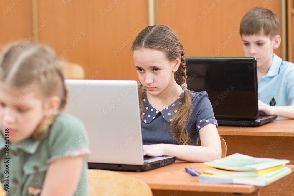 schoolchildren using laptop at lesson in classroom schoolchildren using laptop at lesson in classroom