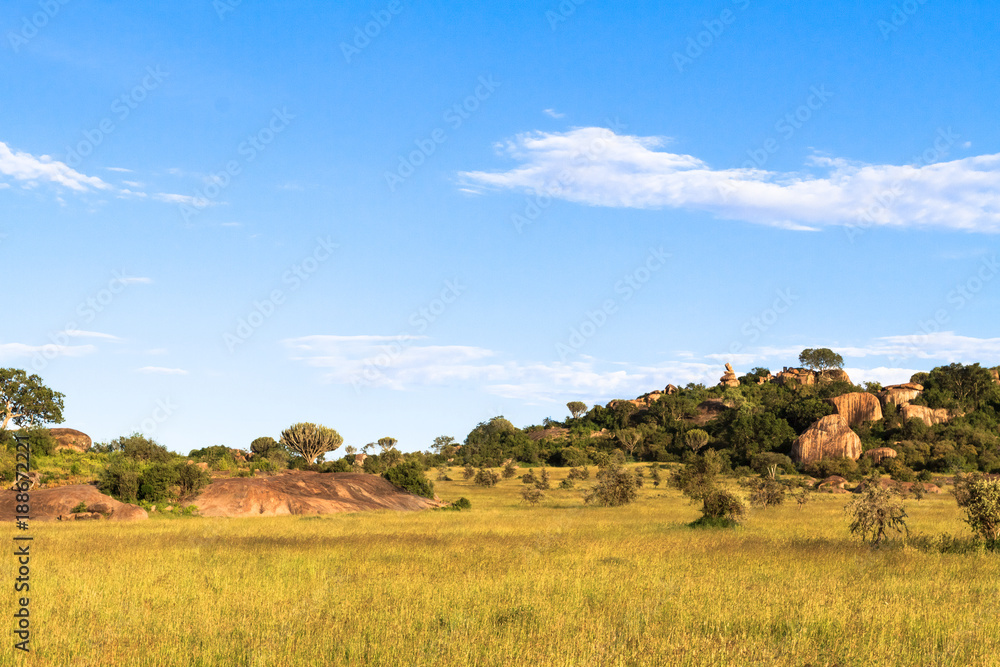 Sky and rocks on endless plain of Serengeti. Tanzania, Africa - obrazy, fototapety, plakaty 