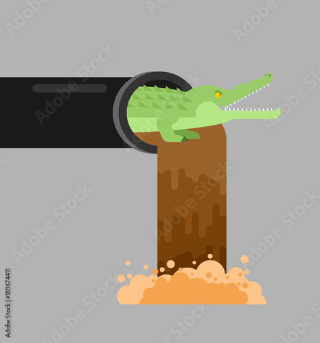 Alligator sewerage. Crocodile in sewer. Predator animal. City legend. Vector illustration