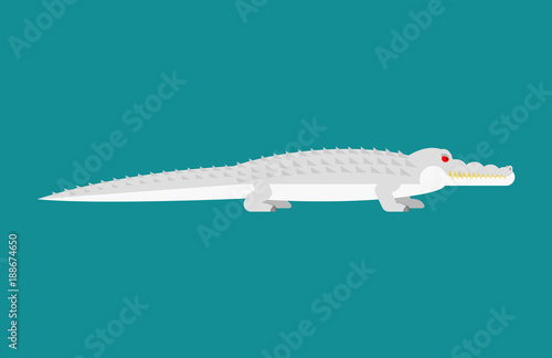 Albino alligator isolated. Crocodile White Monster. Predator animal. Vector illustration